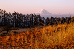 山行への期待