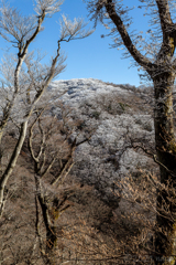 振り返って、バイバイ万三郎