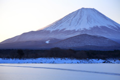 氷結の朝