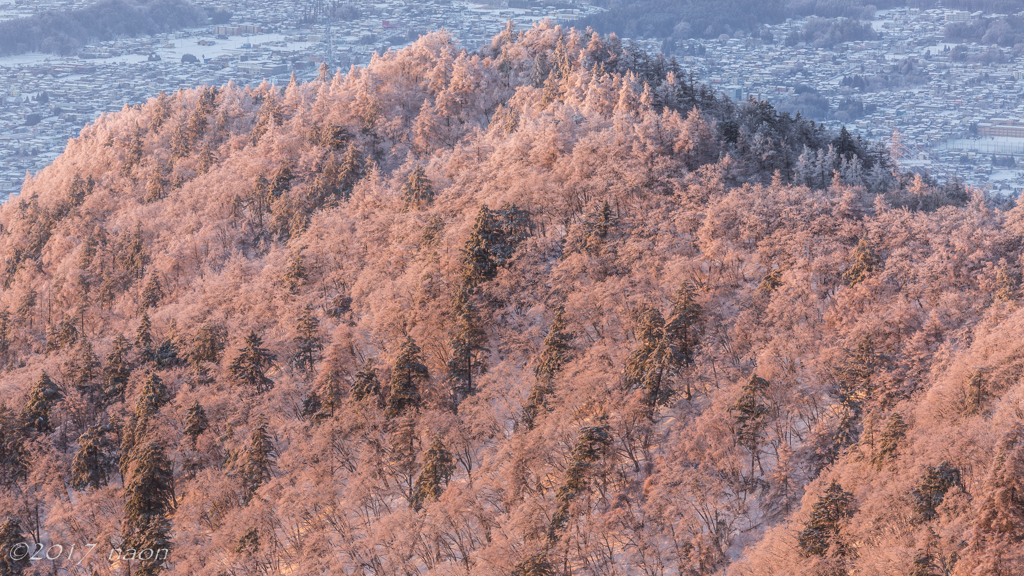 ❅冬のはるいろ❄