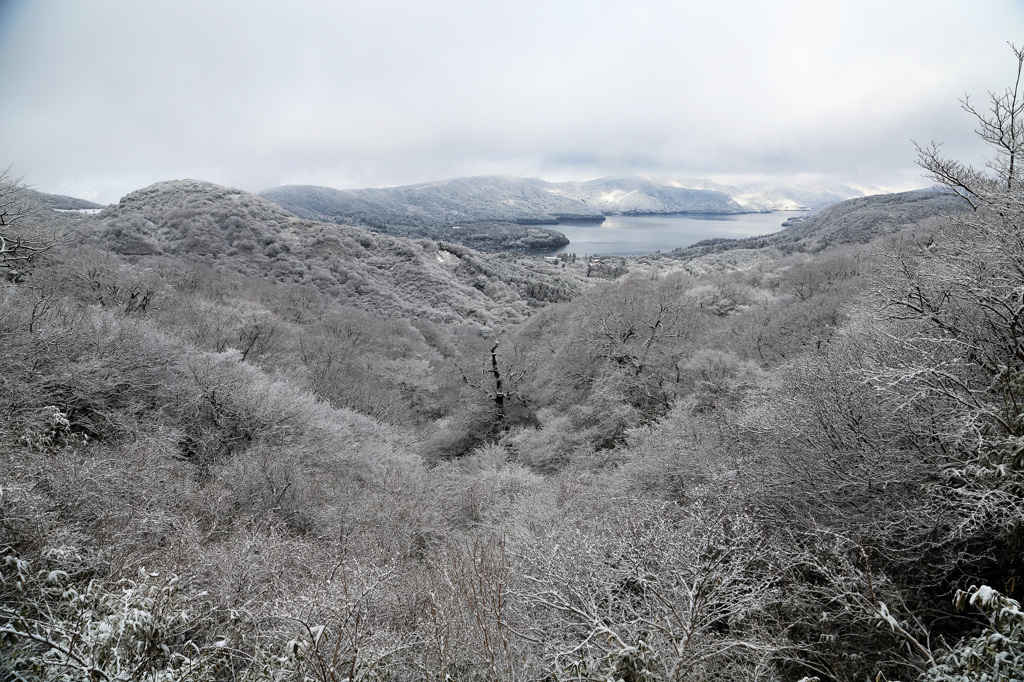 樹氷の先に・・・
