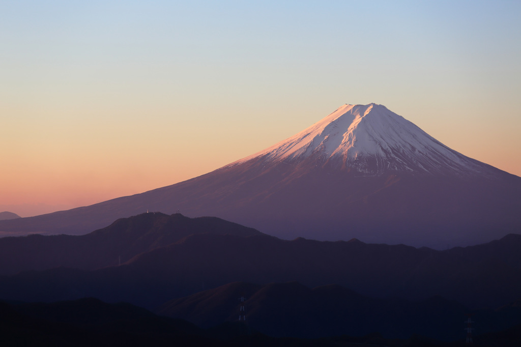 紅、見参