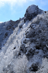 天狗の鼻に霧氷の花