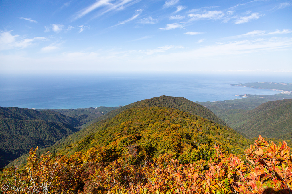 美しき海岸線