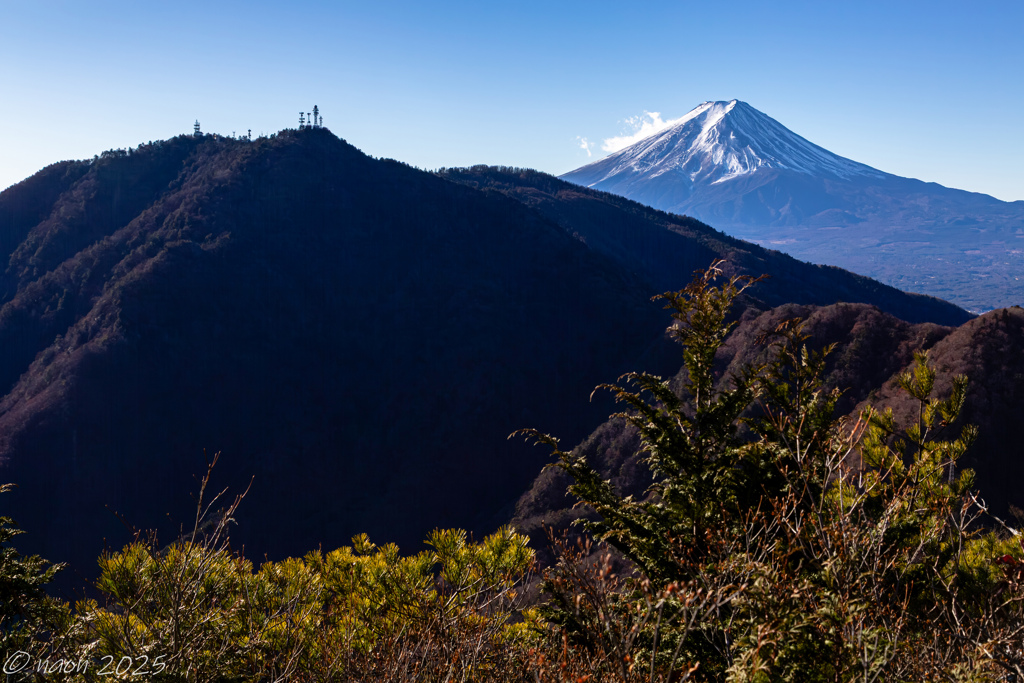 展望地を展望…