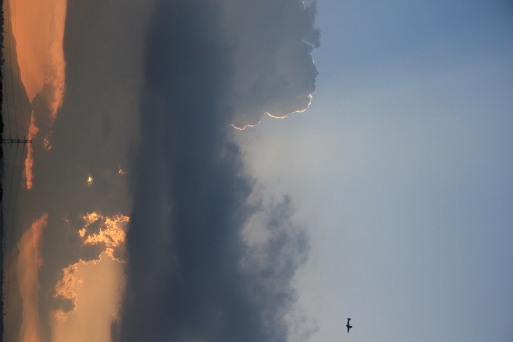 光芒の先に・・・