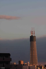 Sky Tree