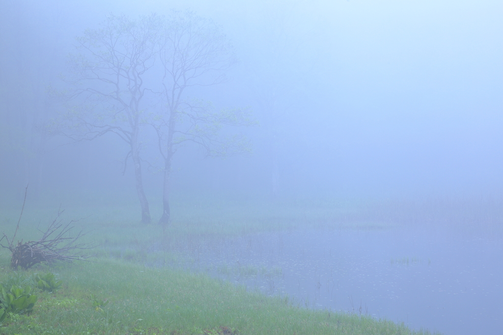 霧の沼辺 1
