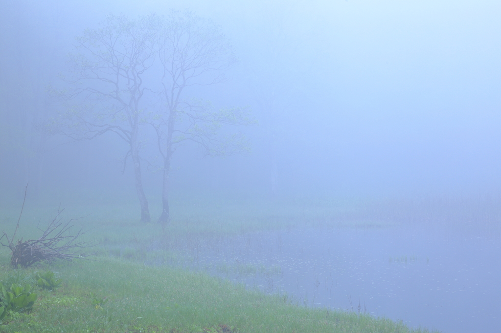 霧の沼辺 1