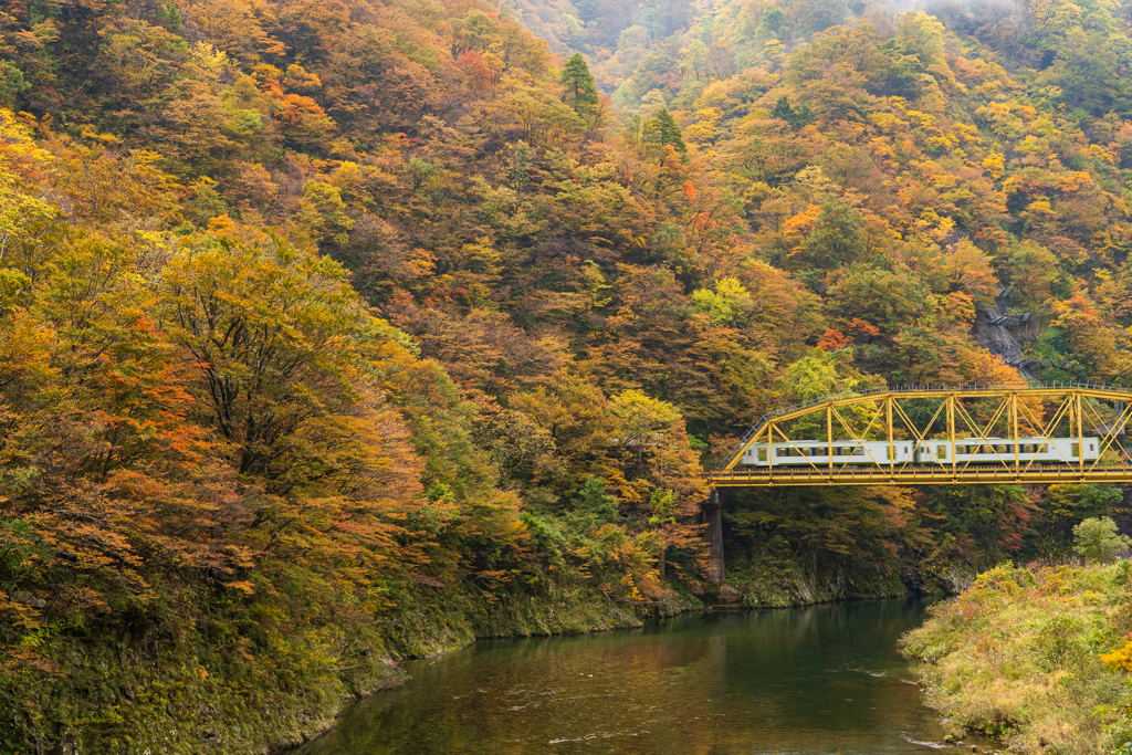 秋景米坂線～小国2021～1