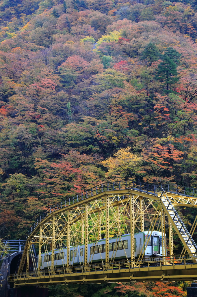 秋景米坂線～小国2015～２