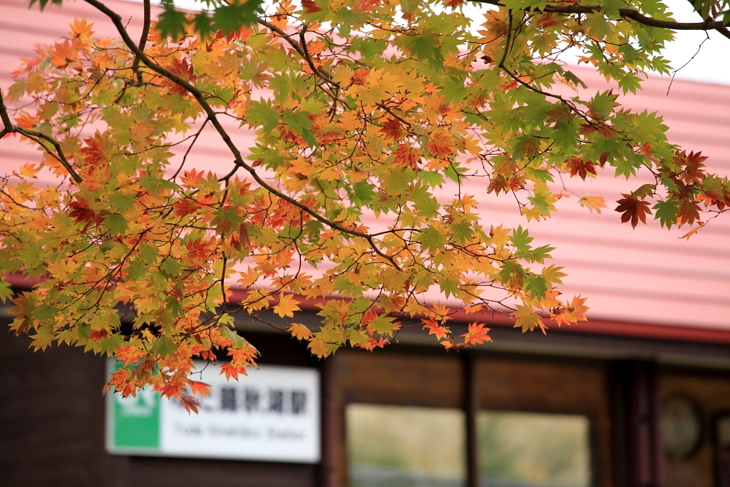 錦秋な駅