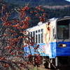 秋の日の旅２