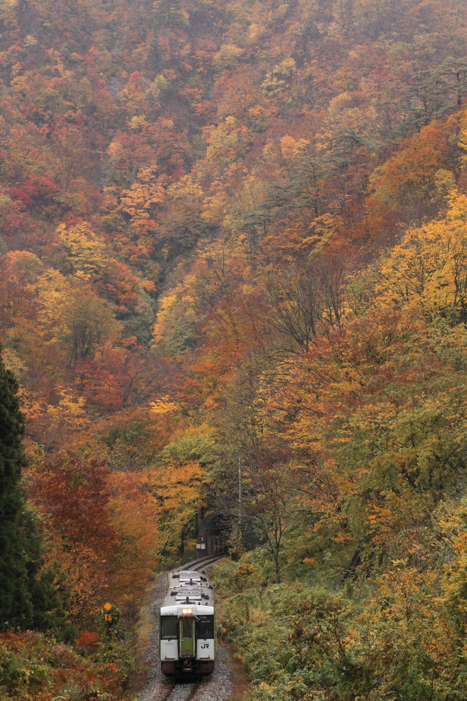 秋景米坂線～小国2015～4
