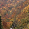 秋景米坂線～小国2015～4