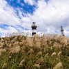 秋の灯台