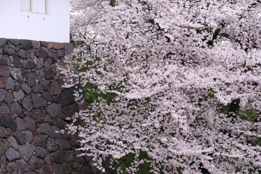 花垣