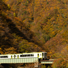 秋景米坂線～小国2021～3