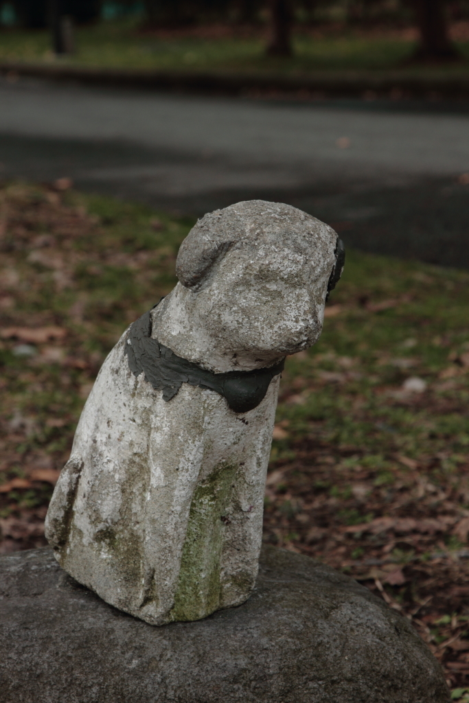 お犬さま