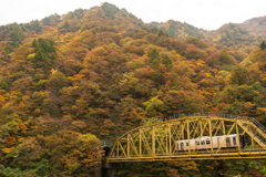 秋景米坂線～小国2021～2