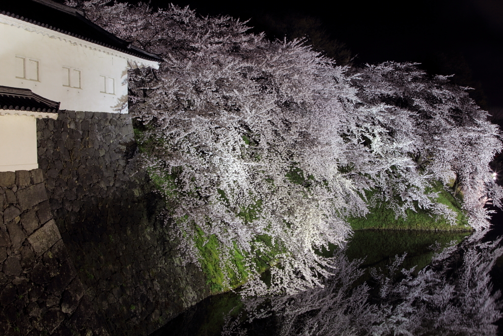 花城の夜