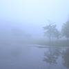 霧の沼辺 2