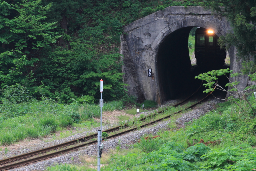 新緑と隧道