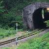 新緑と隧道