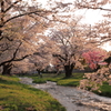 観音寺川の夕刻２