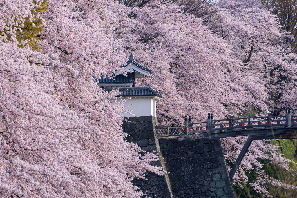 霞城絢爛