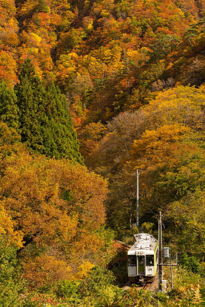 秋景米坂線～小国2021～4