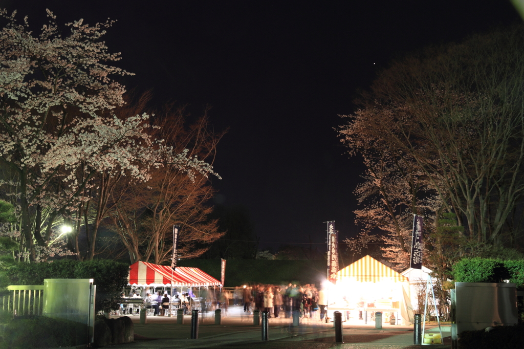 花見夜台