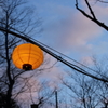 年末、薬師公園にて２