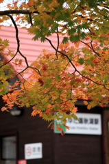 染まる駅舎