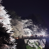 城址観桜２