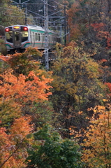 秋の仙山路