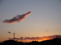 雲なんですけど。。。