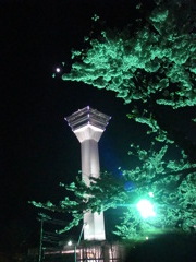 タワーと桜