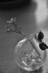 硝子の花