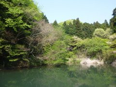 いきとし生けるもの