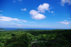 伊豆大島きれい