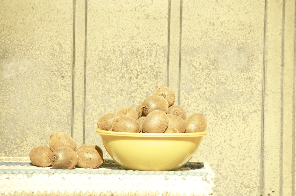 路上に放置してあったキュウイ