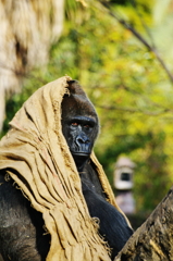 いかついけどお洒落さん