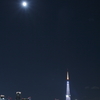 元旦の東京タワー