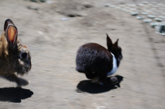 IMGP2314_AddExif