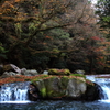 渓谷の紅葉　#3