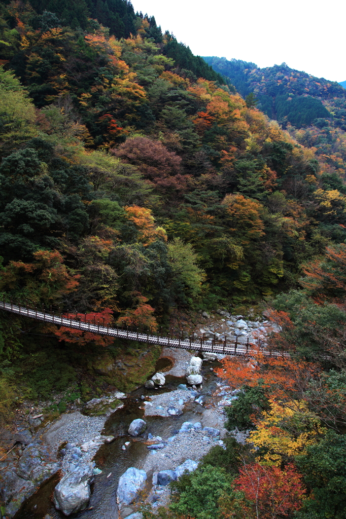 五家荘　2012　#3