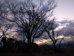 早朝