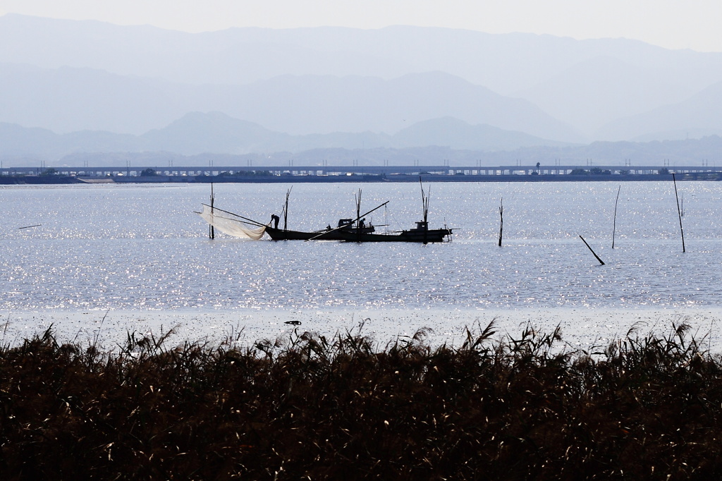 海の恵み　秋の恵み