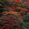 五家荘　2012　#2